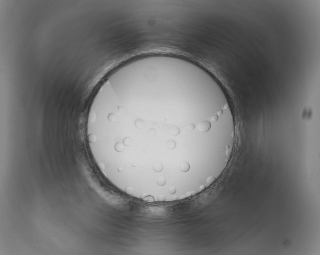 X0000111520159200908111211