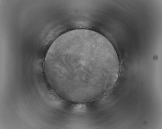 X0000111520162200908111211