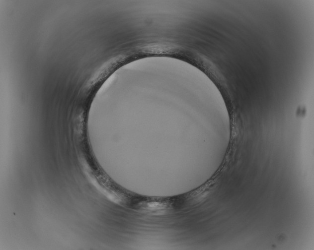 X0000111520163200908111211