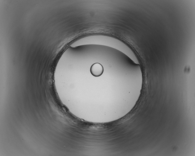 X0000111520164200908111211