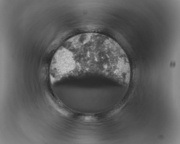 X0000111520165200908111211