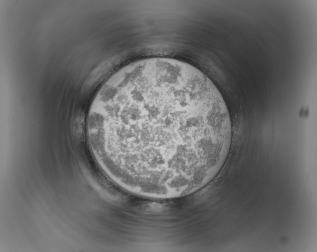 X0000111520166200908111211