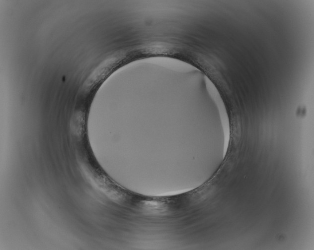 X0000111520167200908111211