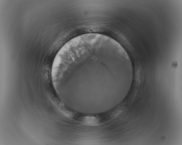 X0000111520169200908111211