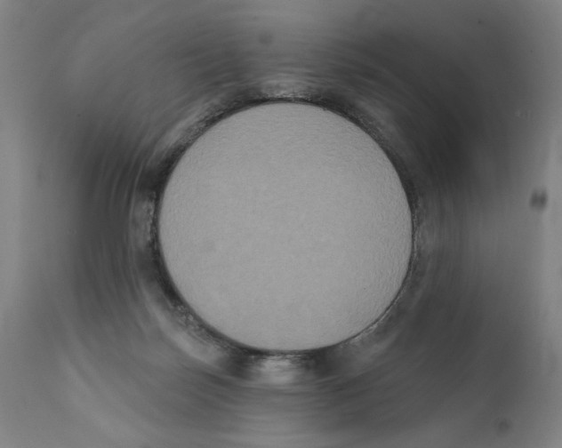 X0000111520171200908111211