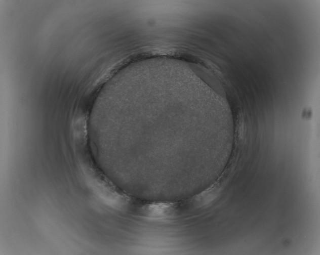 X0000111520172200908111211