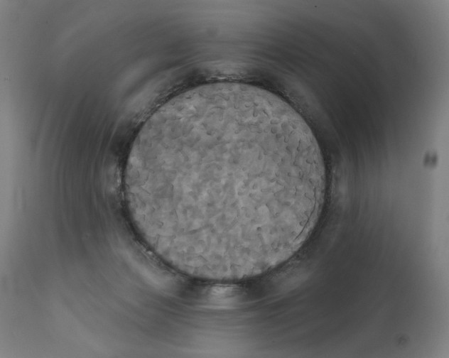 X0000111520173200908111211