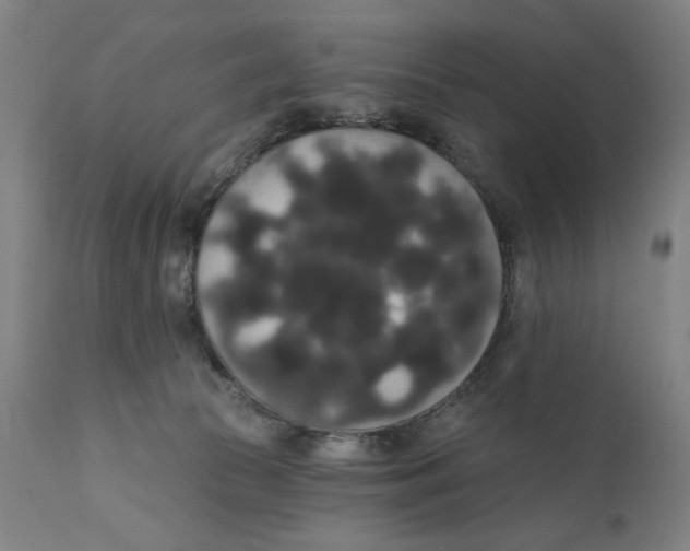 X0000111520177200908111211