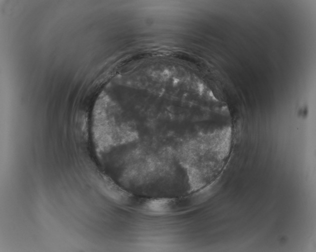 X0000111520178200908111211