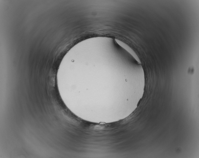 X0000111520180200908111211