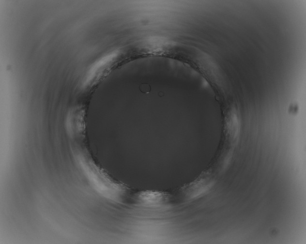 X0000111520181200908111211