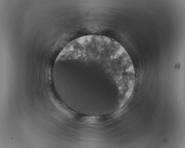 X0000111520182200908111211