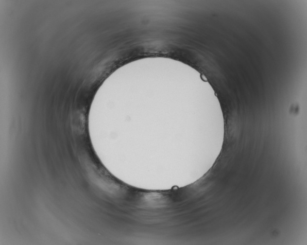 X0000111520183200908111211