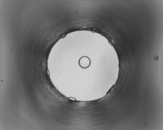X0000111520184200908111211