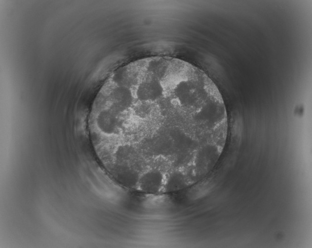 X0000111520185200908111211