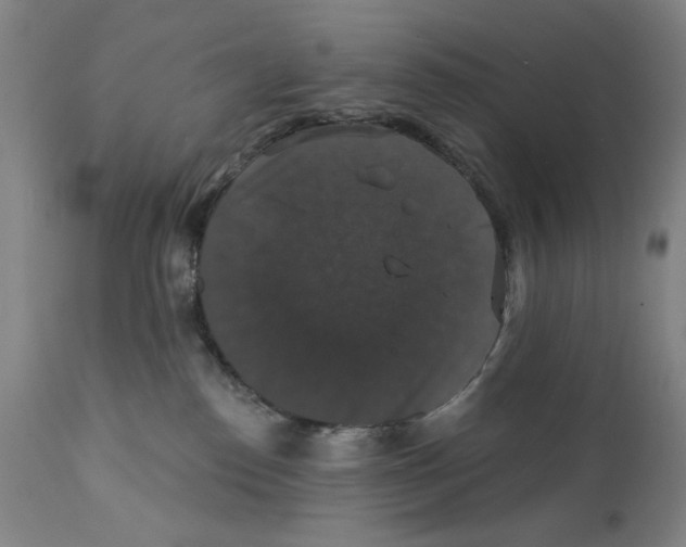 X0000111520186200908111211
