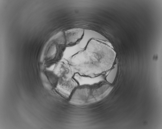 X0000111520189200908111211