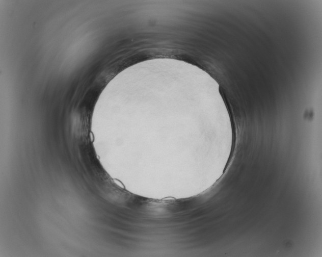 X0000111520190200908111211