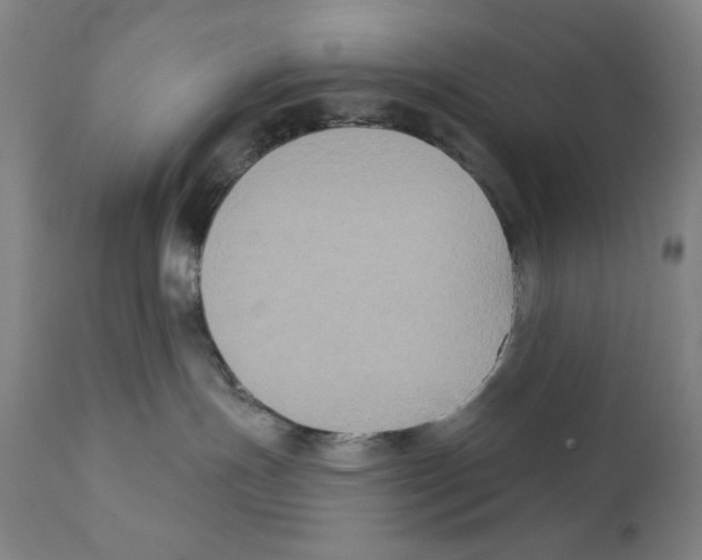 X0000111520191200908111211