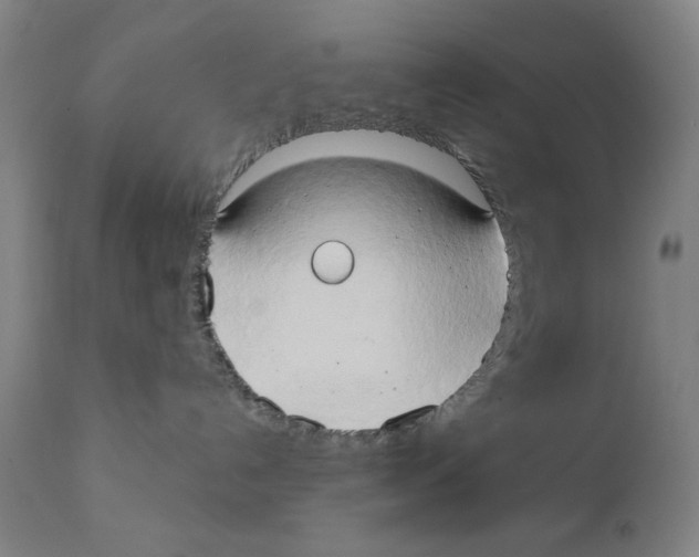 X0000111520192200908111211