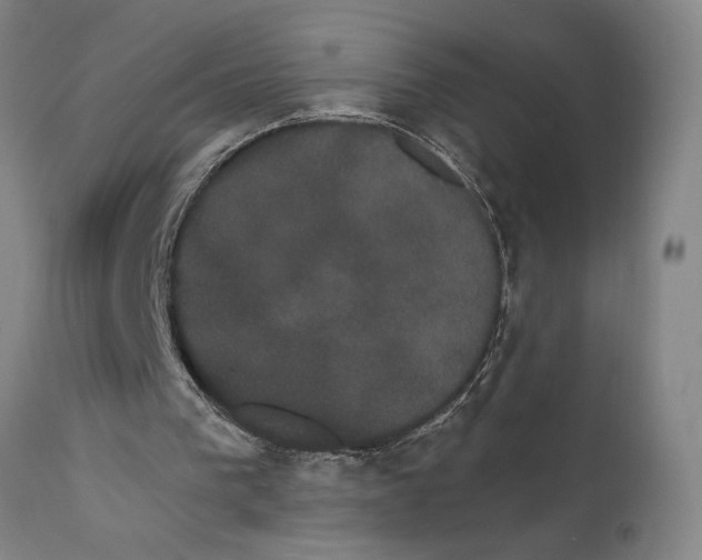 X0000111520193200908111210