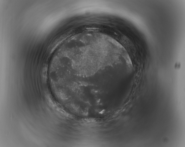 X0000111520194200908111210