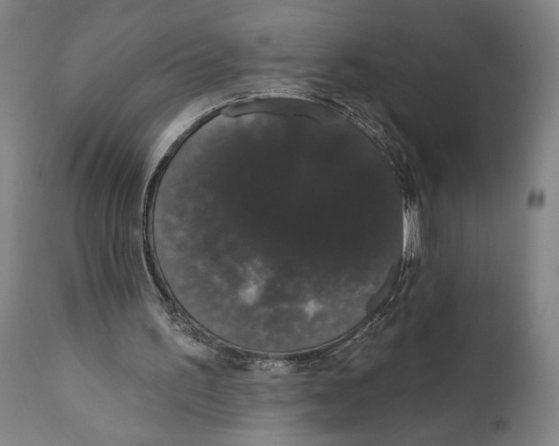 X0000111520195200908111210