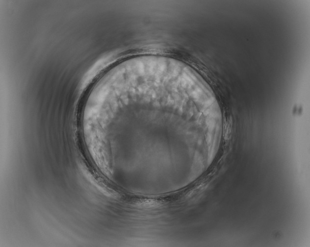 X0000111520198200908111210