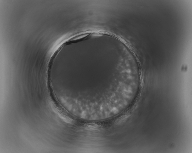 X0000111520199200908111210