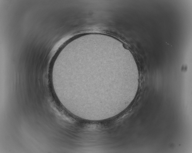 X0000111520200200908111210