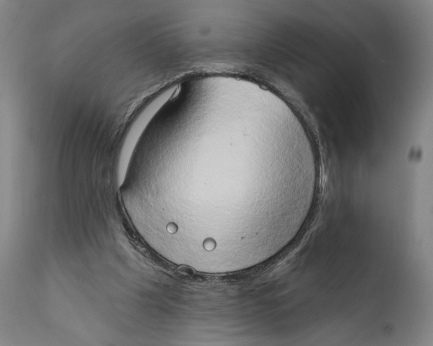 X0000111520201200908111210