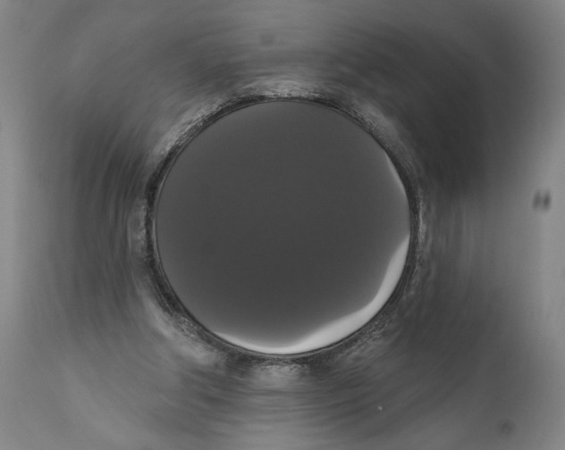 X0000111520202200908111210