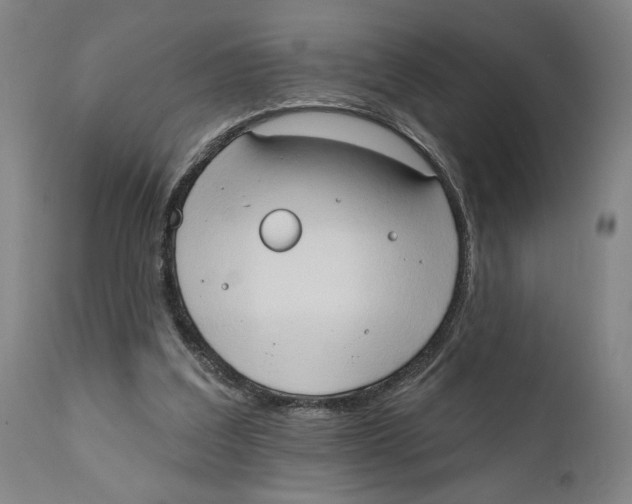 X0000111520203200908111210