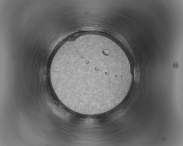 X0000111520204200908111210