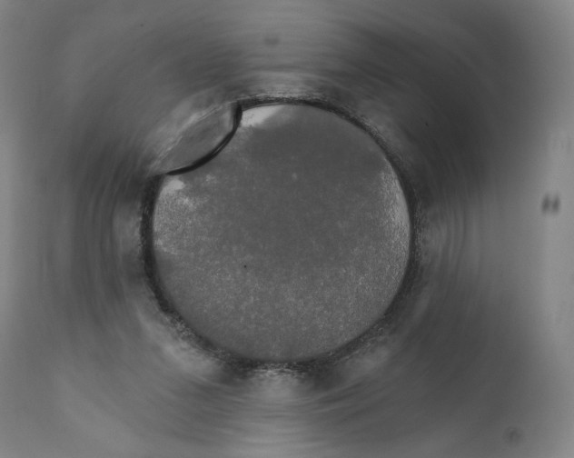 X0000111520207200908111210