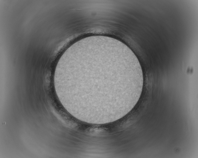 X0000111520208200908111210