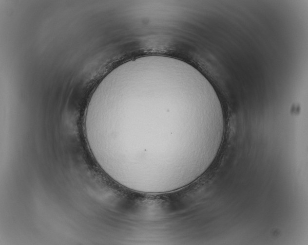 X0000111520209200908111210