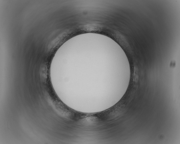 X0000111520210200908111210
