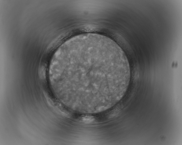 X0000111520214200908111210
