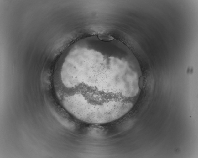 X0000111520215200908111210