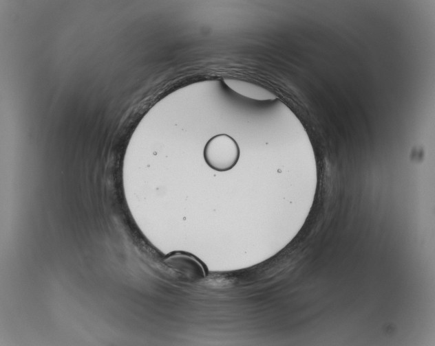 X0000111520217200908111210