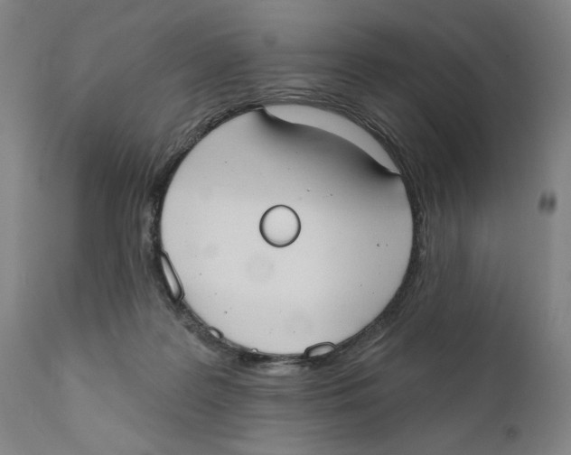X0000111520219200908111210