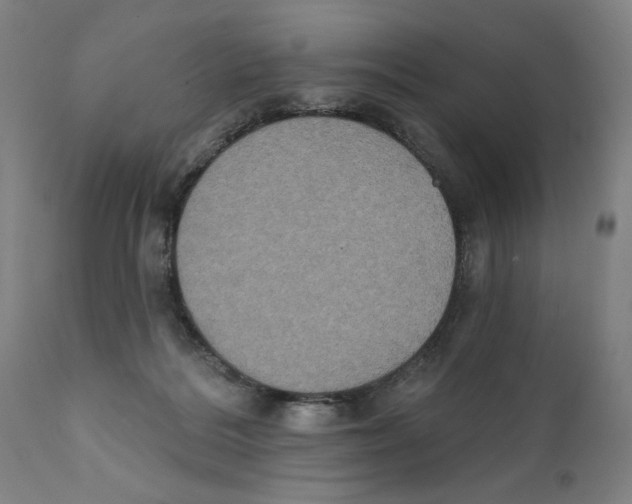 X0000111520220200908111210