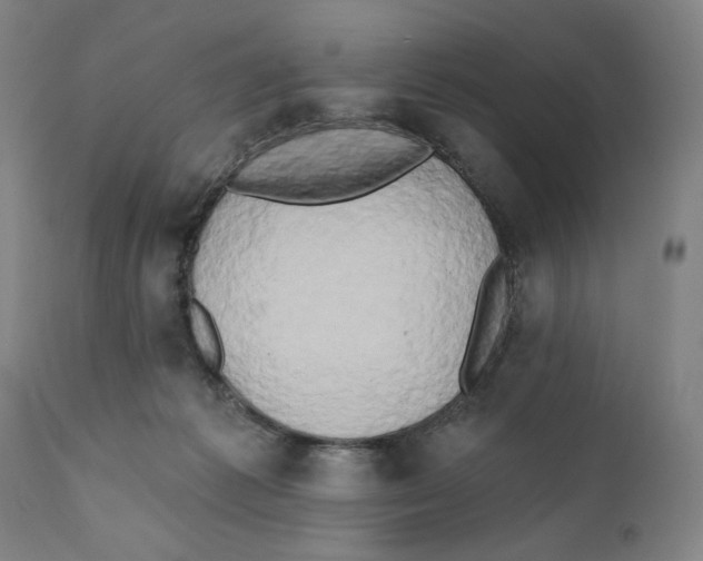X0000111520221200908111210