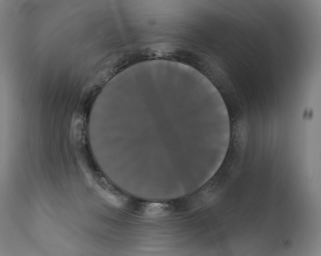X0000111520222200908111210