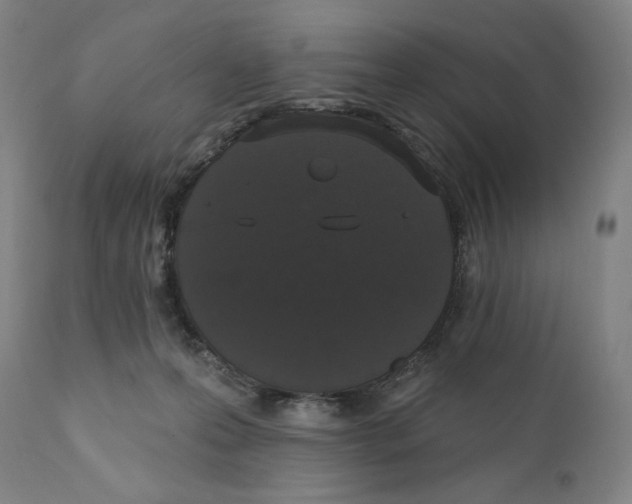 X0000111520223200908111210