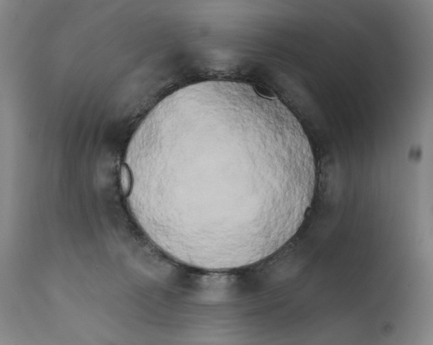 X0000111520225200908111210