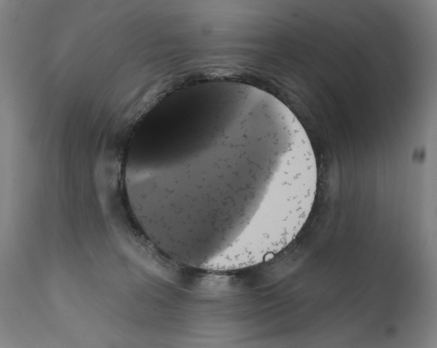X0000111520227200908111210