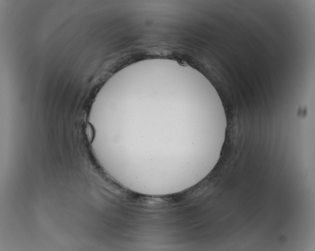 X0000111520229200908111210