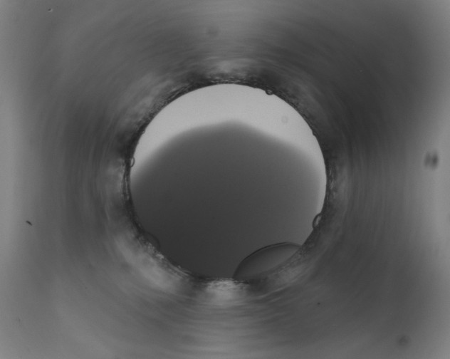 X0000111520231200908111210